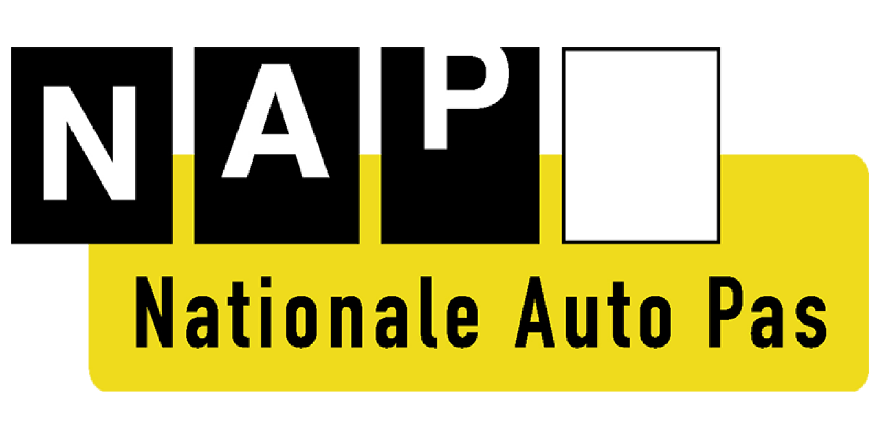 NAP Logo